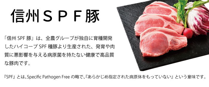 信州SPF豚