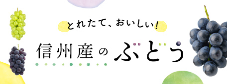 信州産のぶどう