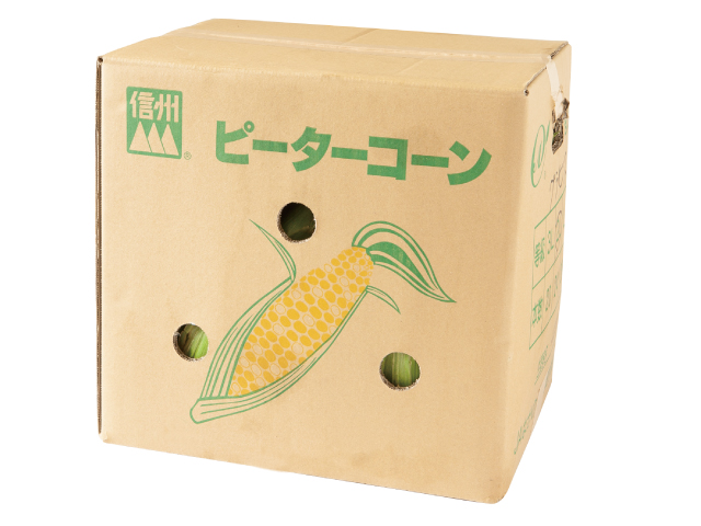 信濃町とうもろこし