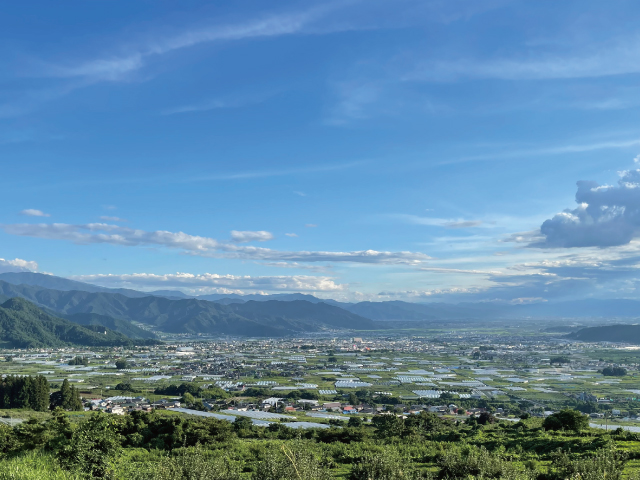 丸山農園