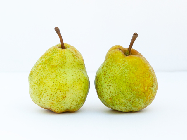 荻原農園 ラ・フランス