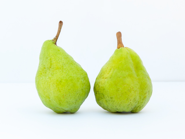 荻原農園 ル・レクチェ