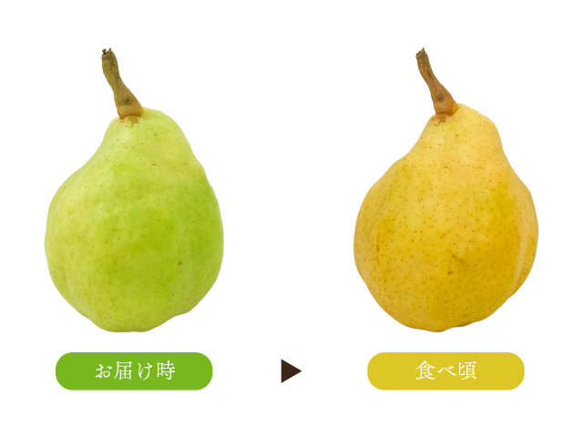 荻原農園　ルレクチェ
