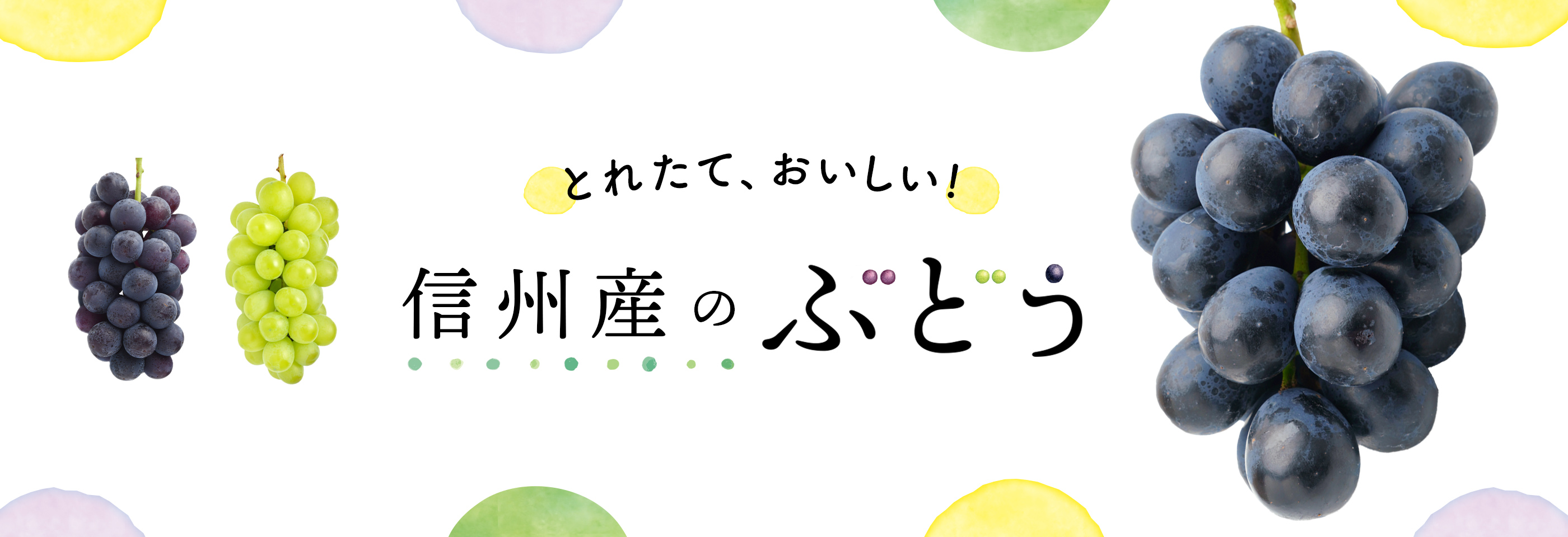 信州産のぶどう