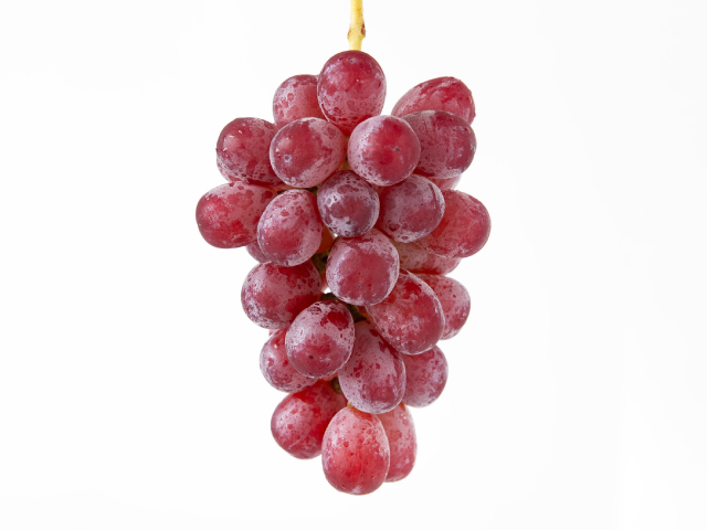 流園　スカーレット