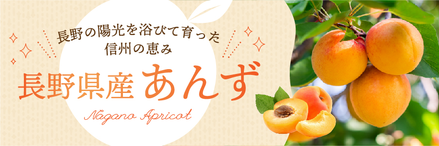 長野県産あんず