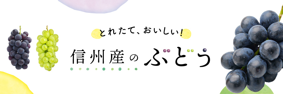 信州産のぶどう