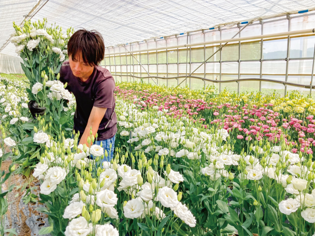 盛出品　他の方購入禁止 コーンサイン この先立入禁止 NCS－2K 367102 | 【ミドリ