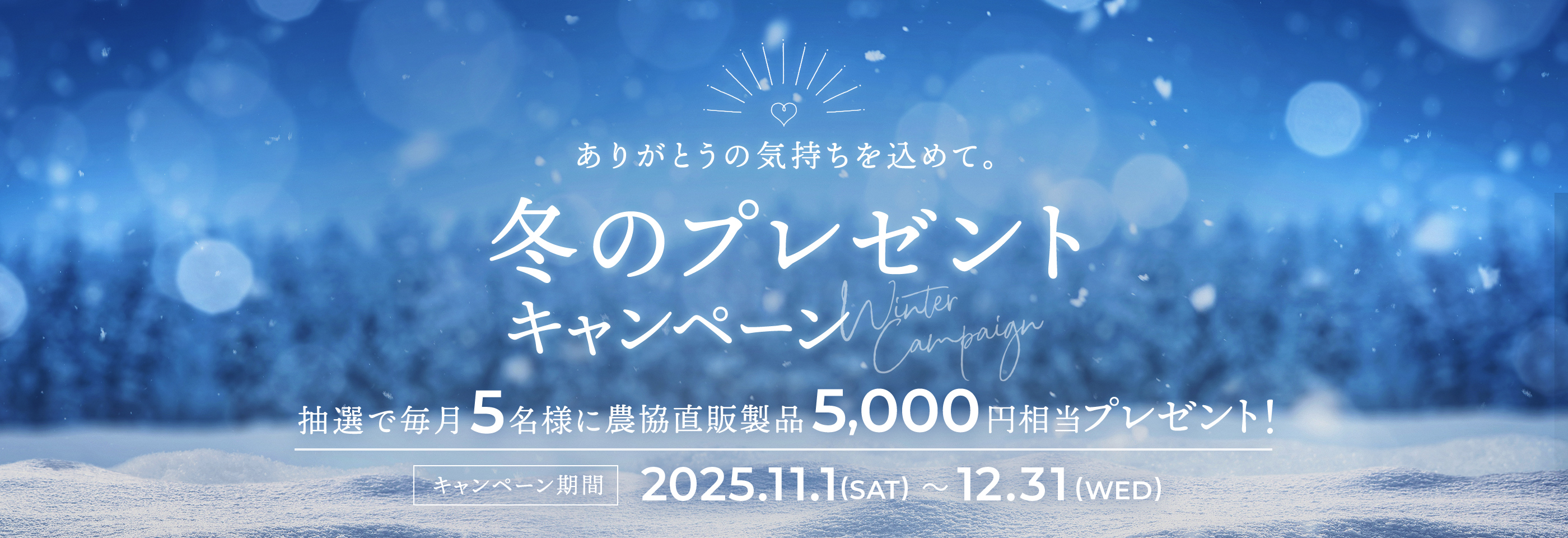 冬のプレゼントキャンペーン