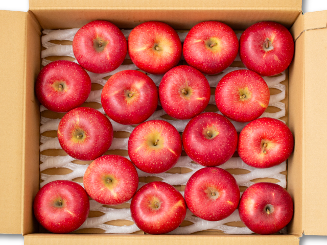 長野県産 シナノホッペ 約5kg【訳あり】